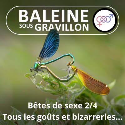 S02E83 Bêtes de sexe 2/4 : Tous les goûts ET bizarreries sont dans la Nature ! cover