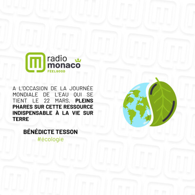 A l'occasion de la journée mondiale de l'eau, réflexions sur sa préservation ! cover