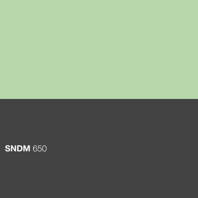 SNDM 650 cover