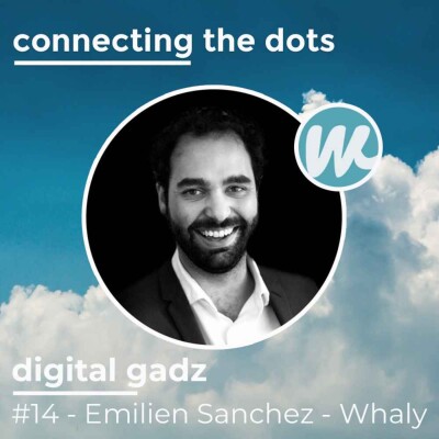 #14 - Digital Gadz - Emilien Sanchez - Whaly - Comment bien utiliser les données ? cover