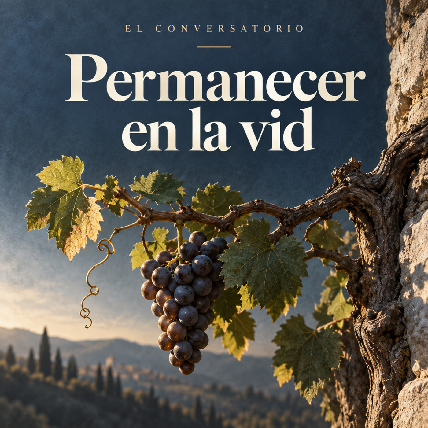 Portada de El Conversatorio: Predicaciones de Teología Pastoral