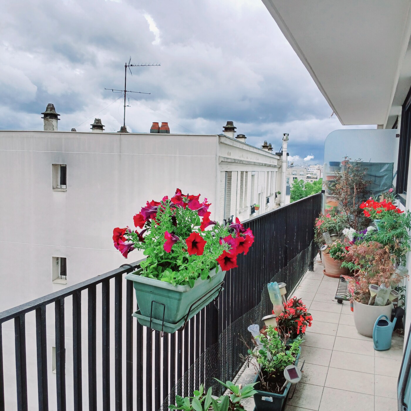 Émée