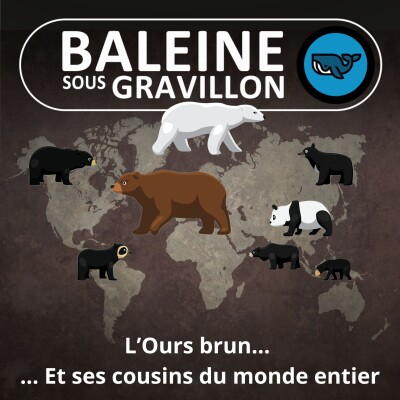 S07E153 L'Ours brun 1/6... et ses cousins du monde entier (Rémi Dupouy) cover
