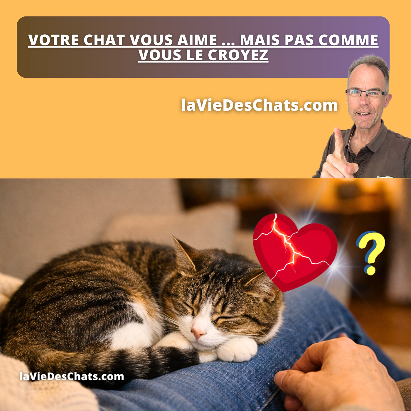 VOTRE CHAT VOUS AIME ... MAIS PAS COMME VOUS LE CROYEZ