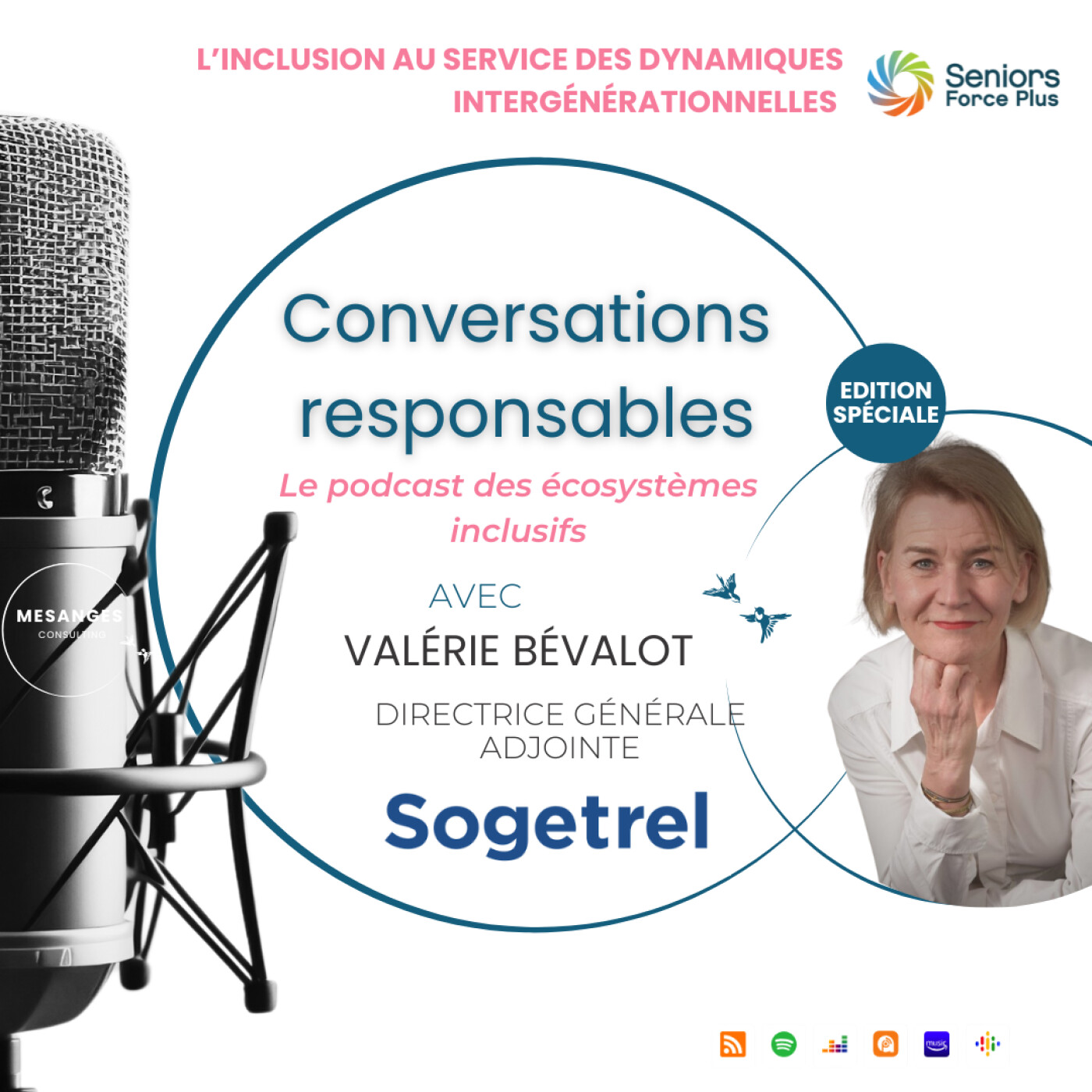 L’inclusion au service des dynamiques intergénérationnelles - Invité SOGETREL