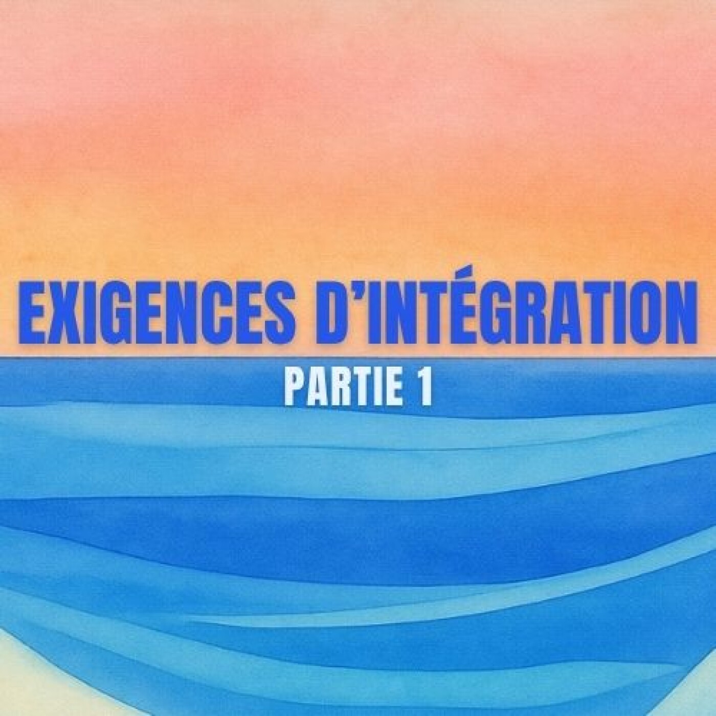 #21 Les exigences d'intégration — PARTIE 1, avec Claudia Charles et Élise Costé