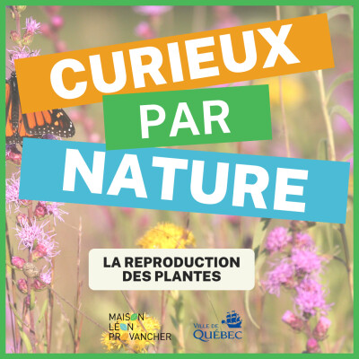 Curieux par Nature: La reproduction des plantes cover