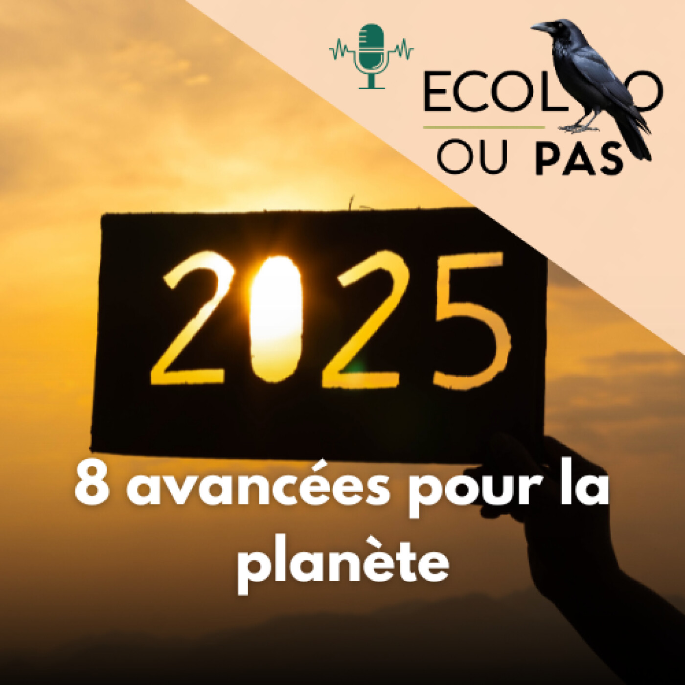 Bilan écolo 2025 : 8 avancées positives pour la planète (biodiversité, climat, énergie, société)
