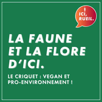 La Faune et la Flore d'Ici : Le criquet, vegan et pro-environnement cover