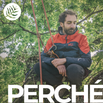 Perché : Les vieux lichens - Ep 3/7 cover