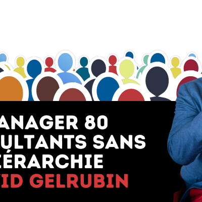 316 - Manager 80 consultants sans hierarchie - Tasmane - David Gelrubin cover