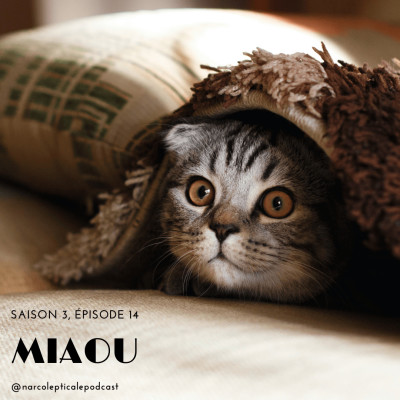 S3E14 - Miaou cover