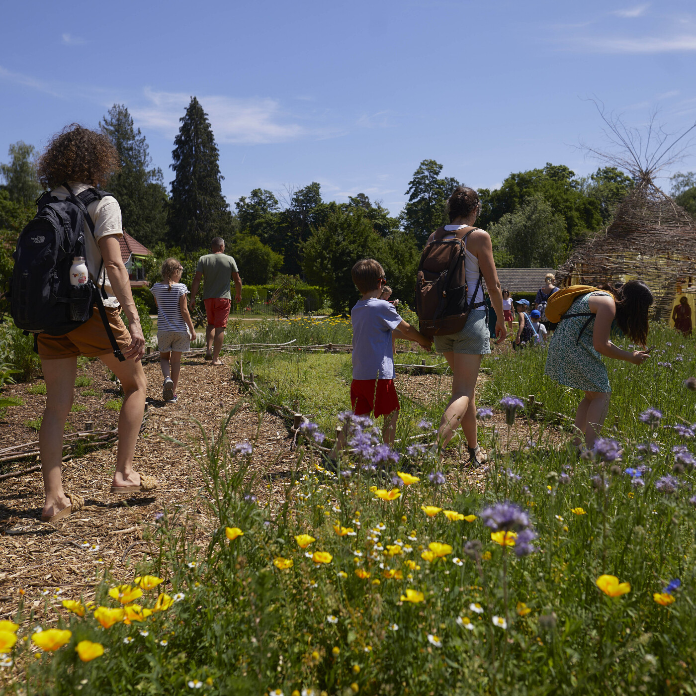 Parc de Wesserling : Gros plan sur les animations estivales episode artwork