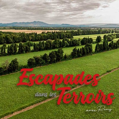 Le Foin de Crau - Lionel Escoffier, producteur et  éleveur de brebis Mérinos d'Arles cover
