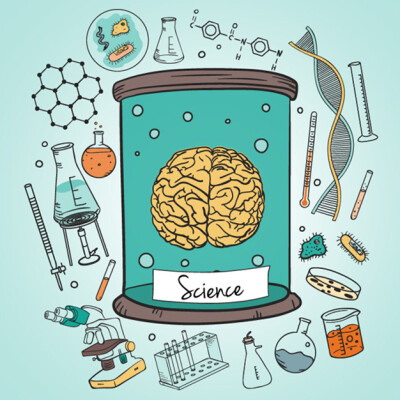 Les sciences humaines sont-elles solubles dans les sciences cognitives ? cover