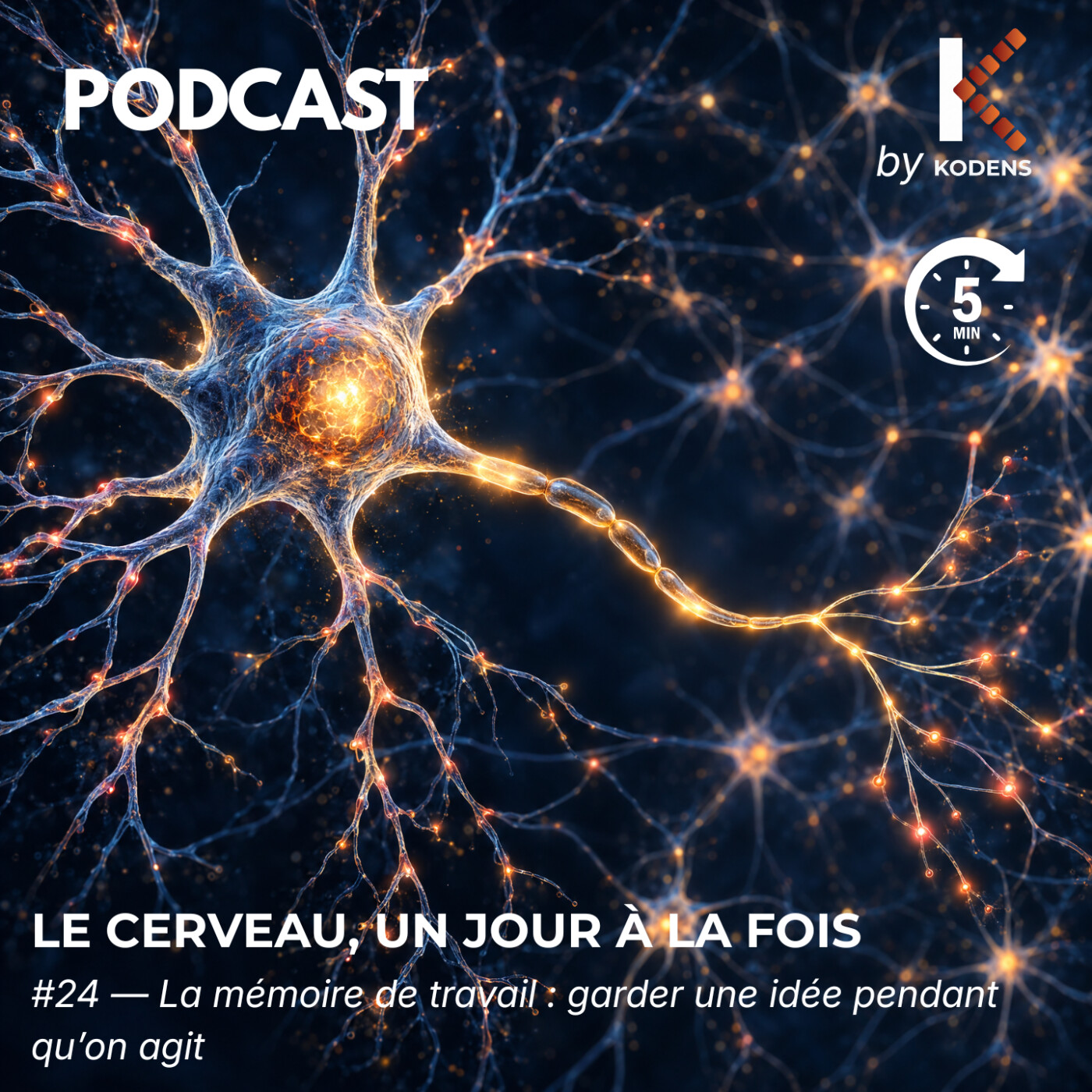 Épisode #24 — La mémoire de travail : garder une idée pendant qu’on agit