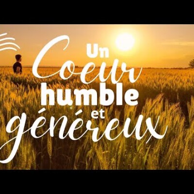 Parole et Évangile du jour | Lundi 25 novembre • Confiance et don total cover