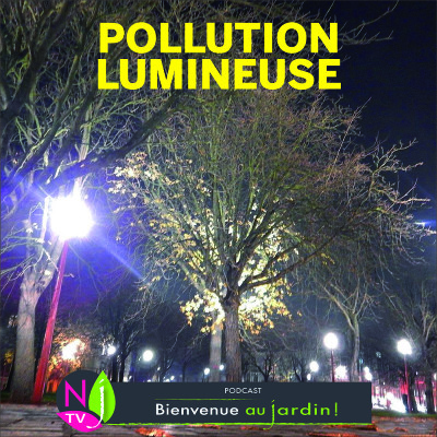 HISTOIRES BOTANIQUES: LES PLANTES FACE À LA POLLUTION LUMINEUSE cover