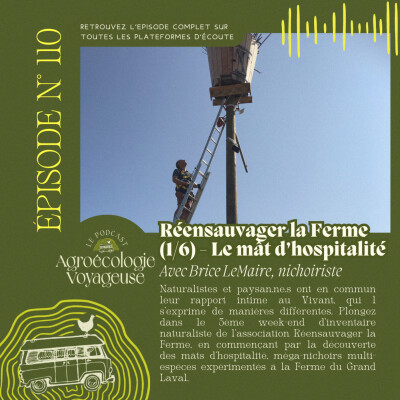 #110 Réensauvager la Ferme (1/6) Les mâts d'hospitalité avec Brice Le Maire cover