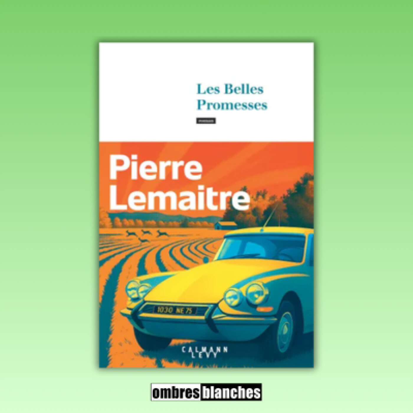 Pierre Lemaitre → Les belles promesses