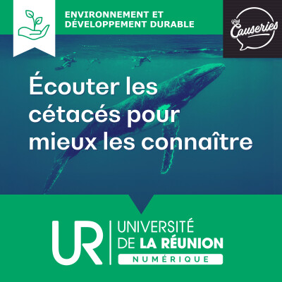 Écouter les cétacés pour mieux les connaître cover