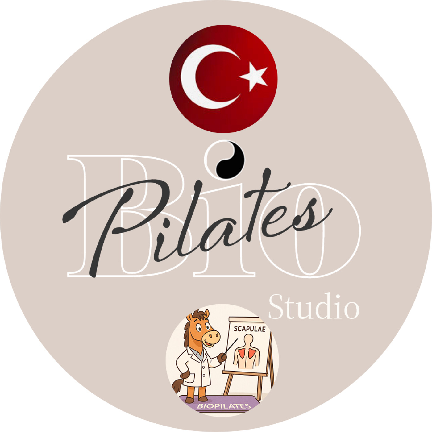 🇹🇷 🐴 Omur ve Atın Omuz Biyomekaniği - Stott Pilates Scapulae Stabilisation episode artwork