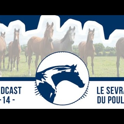 🎙 Podcast by Reverdy #14 | Le sevrage du poulain cover