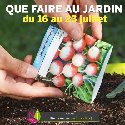 QUE FAIRE DANS LE JARDIN DU 16 AU 23 JUILLET ? cover