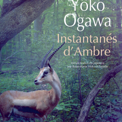 Instatanés d'Ambre cover