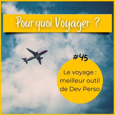 #45 Pourquoi voyager et pourquoi en parler ? cover