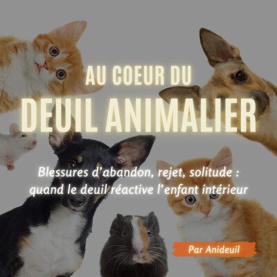 Épisode #17: Blessures d’abandon, rejet, solitude : quand le deuil réactive l’enfant intérieur cover