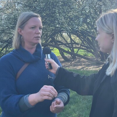 Les voix du futur au Moulin Nature cover