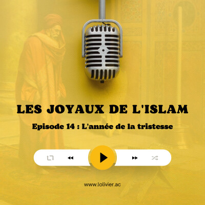 Ep #14 : L'année de la tristesse cover