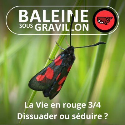 S07E49 La vie en... rouge 3/4 : Dissuader ou séduire ? (Frédéric Archaux) cover