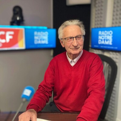 Faut-il abolir la papauté ? cover