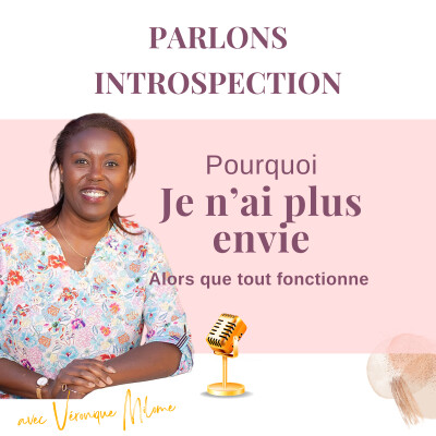 Tout fonctionne mais je n'ai plus envie - Parlons introspection cover