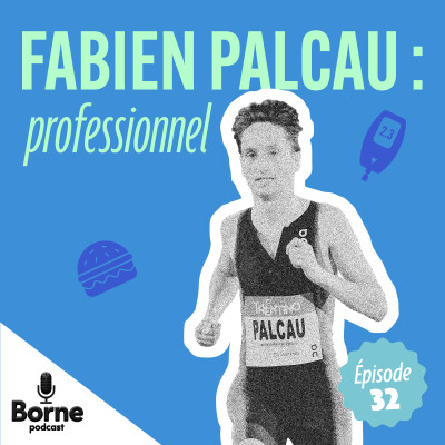 Fabien Palcau :  professionnel cover