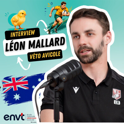Interview de Léon Malard, un vétérinaire avicole cover