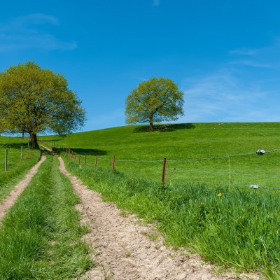 Calvados : découvrez l'une des plus belles balades de Normandie ! cover