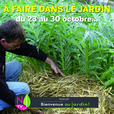 À FAIRE DANS LE JARDIN DU 23 AU 30 OCTOBRE cover