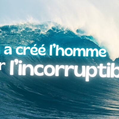 Parole et Évangile du jour | Mardi 11 novembre • Vous serez grands en étants petits... cover