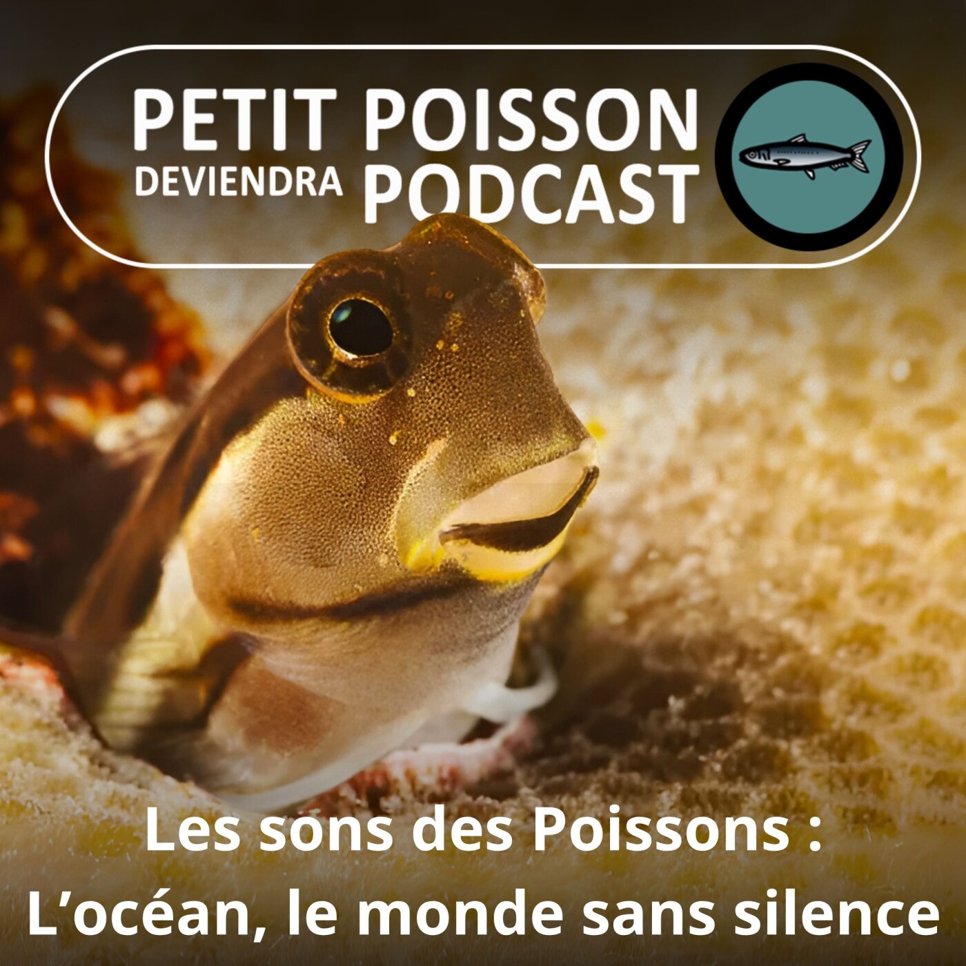Petit Poisson deviendra Podcast