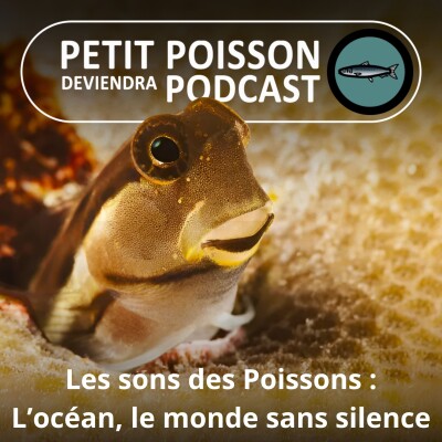 Show cover