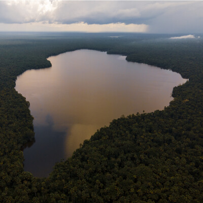 LES RÉSERVES VITALES EN AMAZONIE DE CONSERVATION INTERNATIONAL : PROTÉGER LE CARBONE IRRÉCUPÉRABLE, LA BIODIVERSITÉ ET LES HOMMES cover