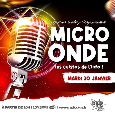 ES - MICRO ONDE > LES CUISTOS DE L'INFO (Collège Hergé de Gondecourt) cover