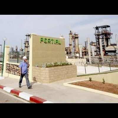 Corruption, détournements et sabotages : la nationalisation chaotique du fleuron FERTIAL en Algérie cover