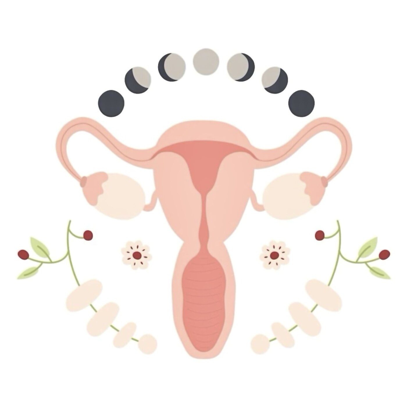 Le cycle naturel de la femme