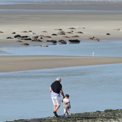 Berck-sur-mer, une destination magique ! cover