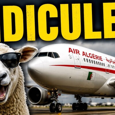 Des moutons en AVION ?! La facture salée du grand délire de Tebboune cover