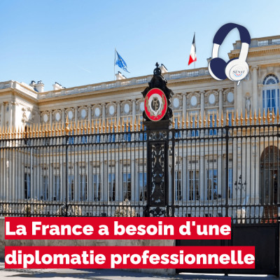 La France a besoin d'une diplomatie professionnelle cover